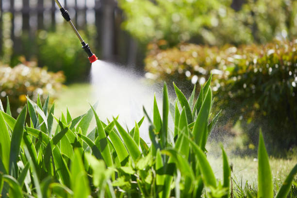 24/7 Emergency Fumigation Services experts in Hartland, WI