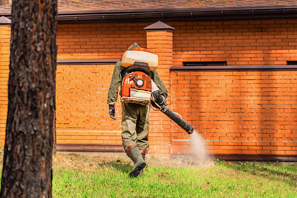 Trusted Termite Control service in Hartland, WI - Nex Pest Control